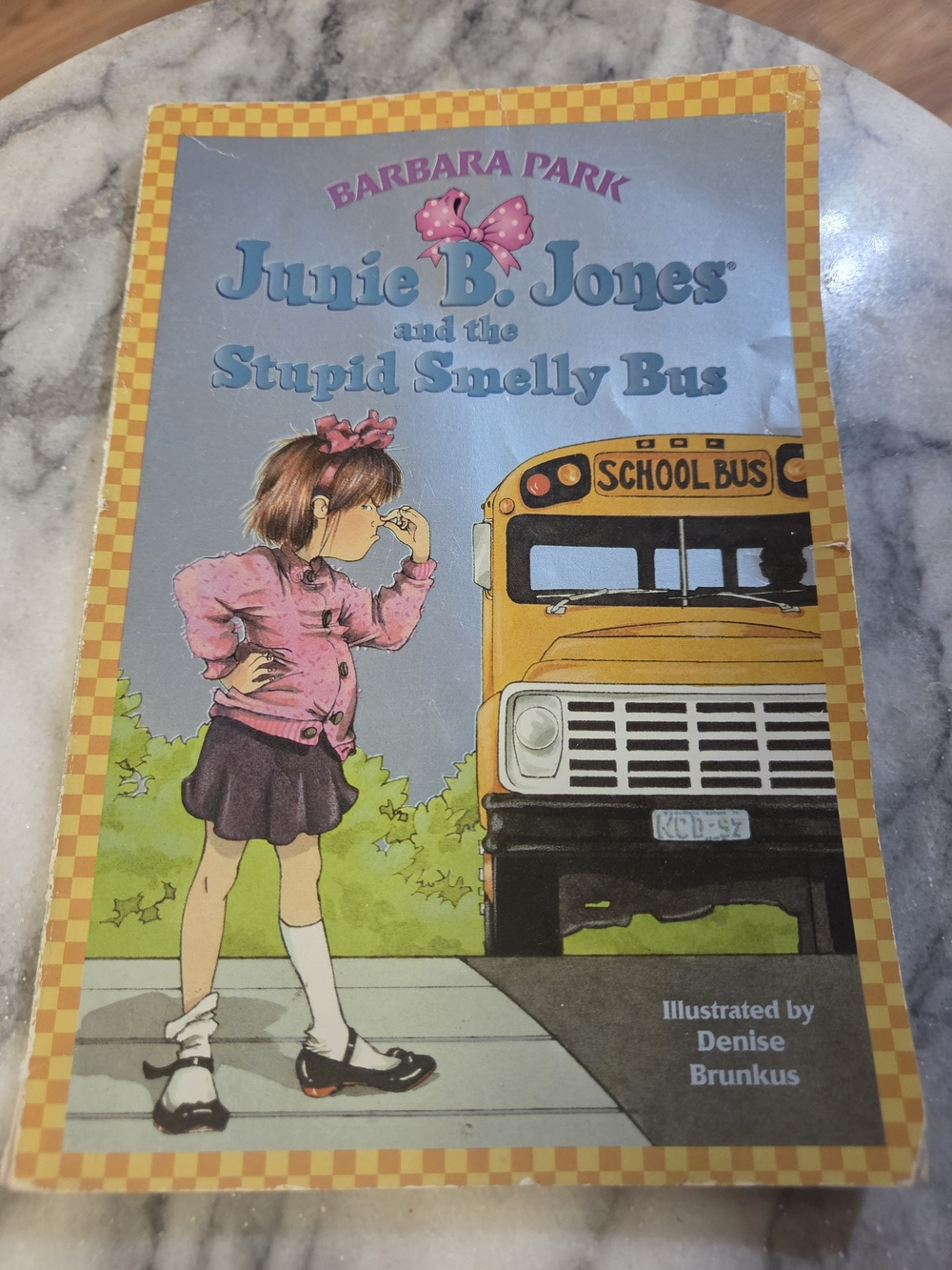 Junie B. Jones Illustrated Kids Book